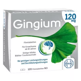 GINGIUM 120 mg filmom obalené tablety, 120 ks