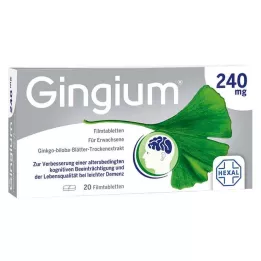 GINGIUM 240 mg filmom obalené tablety, 20 ks