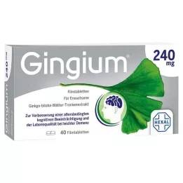 GINGIUM 240 mg filmom obalené tablety, 40 ks