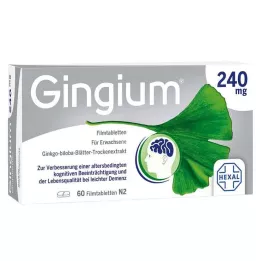GINGIUM 240 mg filmom obalené tablety, 60 ks