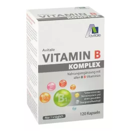 VITAMIN B KOMPLEX kapsuly, 120 ks