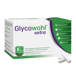 GLYCOWOHL extra kapsuly, 90 ks