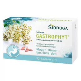 SIDROGA GastroPhyt 250 mg filmom obalené tablety, 30 ks