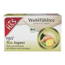 H&amp;S Bio zázvorové filtračné vrecká, 20X2 g