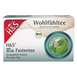 H&S Organické filtračné vrecká na pôstny čaj, 20X1,5 g