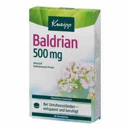 KNEIPP Valeriána lekárska 500 mg filmom obalené tablety, 90 ks