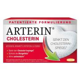 Arterin cholesterolové tablety, 90 ks