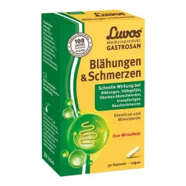 Luvos Gastrosan Nadúvanie & Kapsule proti bolesti, 30 ks