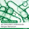 Bioticloges subtilis kapsuly, 30 ks